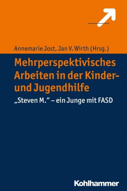 Jan V. Wirth, Annemarie Jost - Mehrperspektivisches Arbeiten in der Kinder- und Jugendhilfe, E-bok