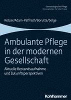 Ruth Ketzer, Renate Adam-Paffrath - Ambulante Pflege in Der Modernen Gesellschaft: Aktuelle Bestandsaufnahme Und Zukunftsperspektiven, Häftad. Tillgänglighet: Lägg i varukorg