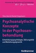 Psychoanalytische Konzepte in Der Psychosenbehandlung: Entwicklungspsychologie, Storungsbild Und Beziehungsdynamik