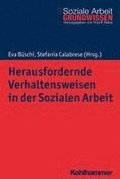 Herausfordernde Verhaltensweisen in Der Sozialen Arbeit