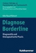 Diagnose Borderline: Diagnostik Und Therapeutische Praxis