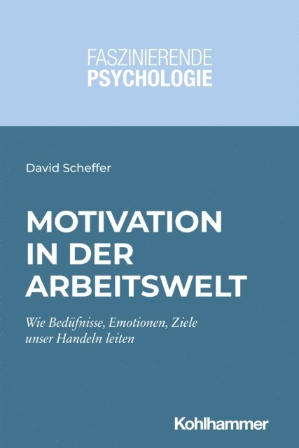 David Scheffer - Motivation in der Arbeitswelt, E-bok