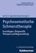 Psychosomatische Schmerztherapie: Grundlagen, Diagnostik, Therapie Und Begutachtung