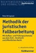 Methodik Der Juristischen Fallbearbeitung: Mit Aufbau- Und Prufungsschemata Aus Dem Zivil-, Strafrecht Und Offentlichen Recht