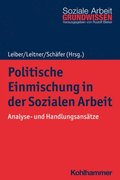 Politische Einmischung in Der Sozialen Arbeit: Analyse- Und Handlungsansatze