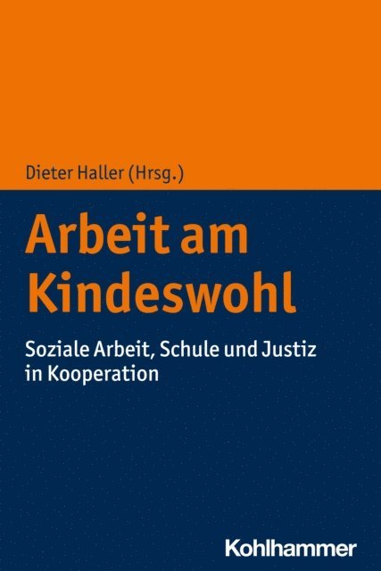 Dieter Haller - Arbeit am Kindeswohl, E-bok