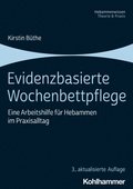 Evidenzbasierte Wochenbettpflege: Eine Arbeitshilfe Fur Hebammen Im Praxisalltag