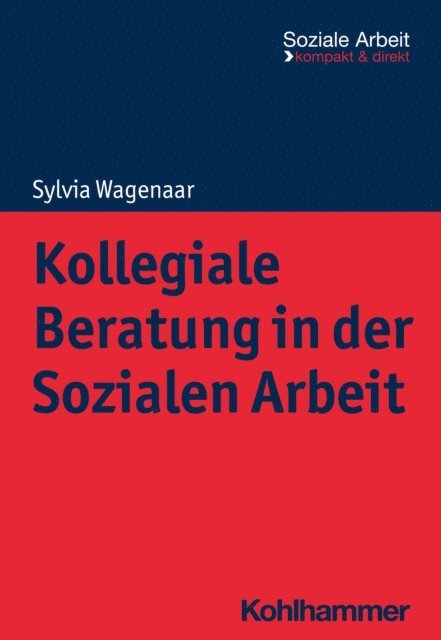 Sylvia Wagenaar - Kollegiale Beratung in der Sozialen Arbeit, E-bok