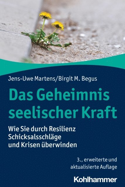 Birgit M. Begus, Jens-Uwe Martens - Das Geheimnis seelischer Kraft, E-bok