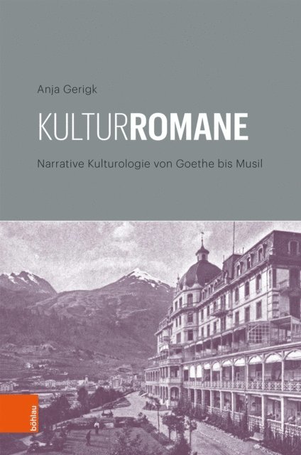 Anja Gerigk - Kulturromane, E-bok