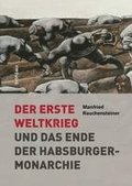 Der Erste Weltkrieg: Und Das Ende Der Habsburgermonarchie 1914-1918