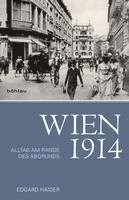 Edgard Haider - Wien 1914: Alltag Am Rande Des Abgrunds, Inbunden