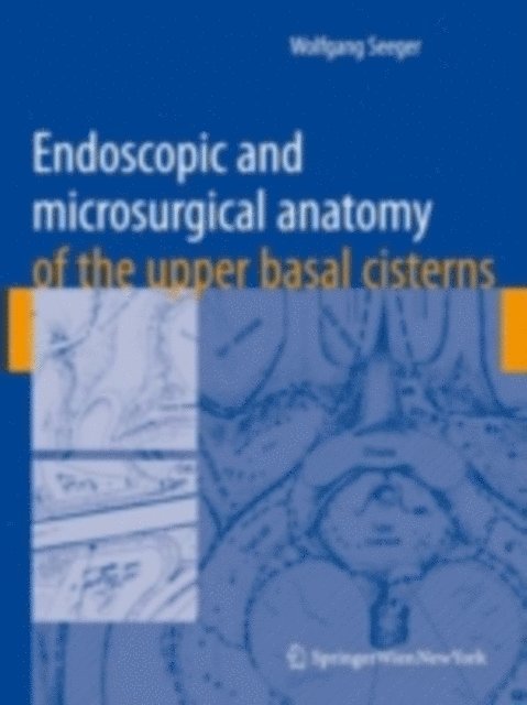 Wolfgang Seeger - Endoscopic and microsurgical anatomy of the upper basal cisterns, E-bok