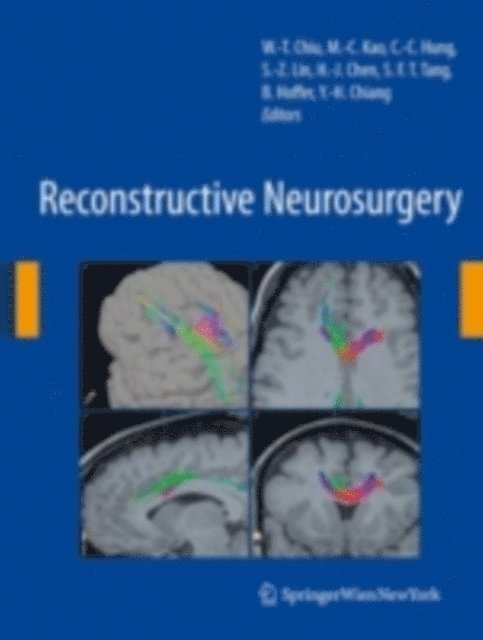Yung-Hsiao Chiang, Barry J. Hoffer, Simon F. T. Tang, Han-Jung Chen, Shinn-Zong Lin, Ching-Chang Hung, Ming-Chien Kao, Wen-Ta Chiu - Reconstructive Neurosurgery, E-bok
