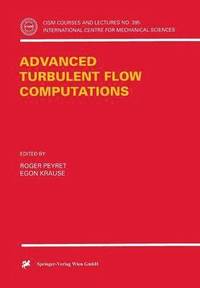Advanced Turbulent Flow Computations