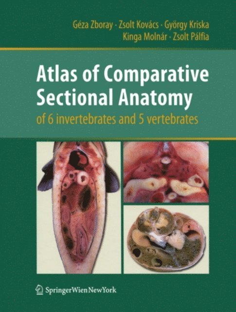 Zsolt Palfia, Kinga Molnar, Gyorgy Kriska, Zsolt Kovacs, Geza Zboray - Atlas of Comparative Sectional Anatomy of 6 invertebrates and 5 vertebrates, E-bok