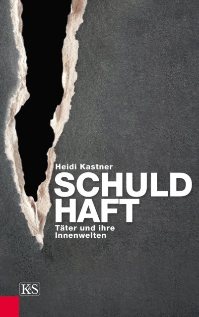 Heidi Kastner - Schuld-Haft, E-bok