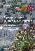 Alpenpflanzen in ihren Lebensrumen