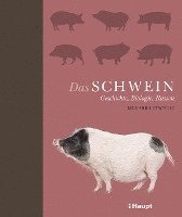 Richard Lutwyche - Das Schwein, Inbunden