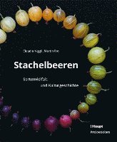 Claudio Niggli, Martin Frei, Daniela Schlettwein - Stachelbeeren, Inbunden