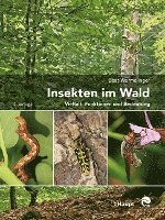Beat Wermelinger - Insekten im Wald, Inbunden. Tillgänglighet: Lägg i varukorg