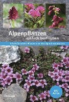 Peter M. Kammer - Alpenpflanzen einfach bestimmen, Inbunden