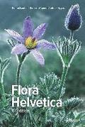 Flora Helvetica - Flore illustre de Suisse