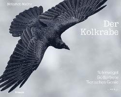 Heinrich Haller - Der Kolkrabe - Totenvogel, Götterbote, tierisches Genie, Inbunden