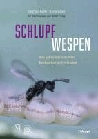 Siegfried Keller, Hannes Baur - Schlupfwespen, Inbunden