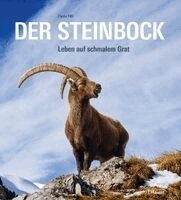 Flurin Filli - Der Steinbock, Inbunden