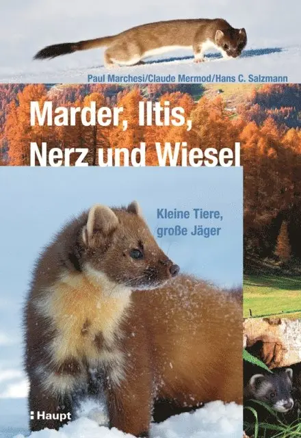 Hans C. Salzmann, Claude Mermod, Paul Marchesi - Marder, Iltis, Nerz und Wiesel, E-bok. Tillgänglighet: Lägg i varukorg