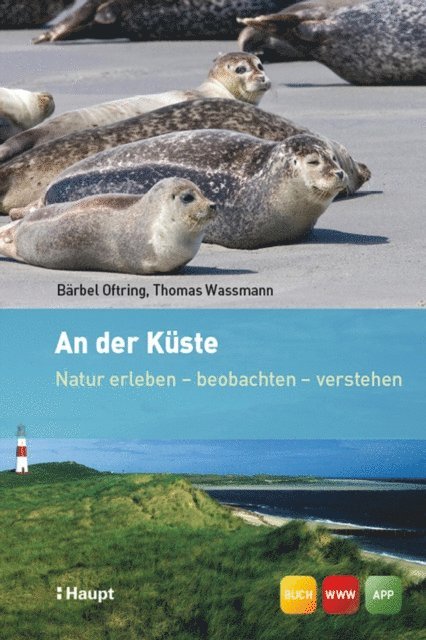Thomas Wassmann, Barbel Oftring - An der Küste, E-bok