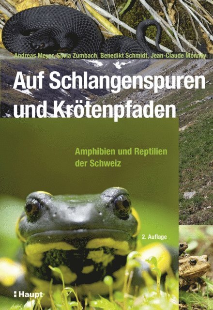 Jean-Claude Monney, Benedikt R. Schmidt, Silvia Zumbach, Andreas Meyer - Auf Schlangenspuren und Krötenpfaden, E-bok
