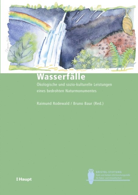Benjamin Zberg, Lukas Taxbock, Christian Schwick, Hans-Peter Rusterholz, Heiner Lenzin, Martina Kung, Julia Kumin, Joachim Hurlimann, Roman Hapka, Martin Frei, Elsbeth Flueler, Klaus C. Ewald, Ueli Buchmann, Norman Backhaus, Bruno Baur, Raimund Rodewald - Wasserfälle, E-bok