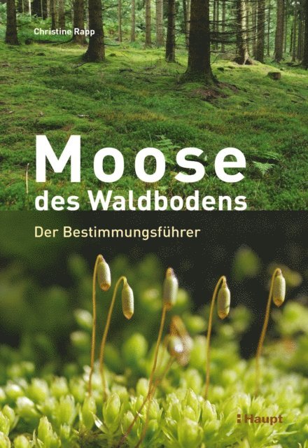 Christine Rapp - Moose des Waldbodens, E-bok