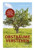 ObstbÃ¿ume verstehen
