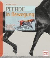 Susan E. Harris - Pferde in Bewegung, Inbunden