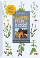 Kaja Grundmeyer - Gesunde Pferde durch die Kraft der Heilkräuter, Häftad