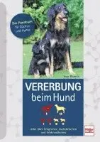 Inge Hansen - Vererbung beim Hund, Inbunden. Tillgänglighet: Lägg i varukorg