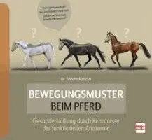 Bewegungsmuster beim Pferd