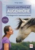 Mensch und Pferd auf Augenh�he