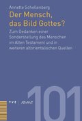 Der Mensch, das Bild Gottes?