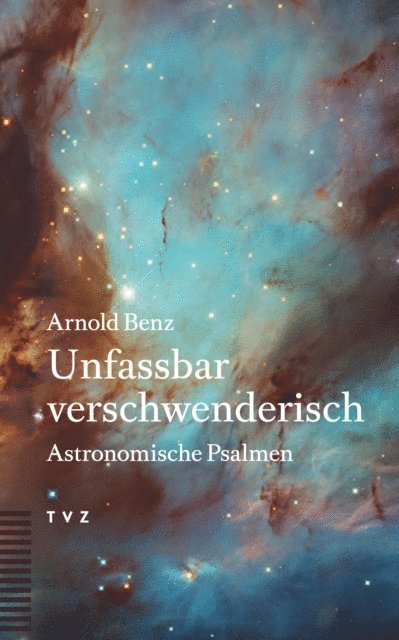 Arnold Benz - Unfassbar verschwenderisch, E-bok