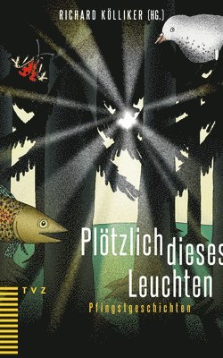 Richard Kolliker - Plotzlich Dieses Leuchten: Pfingstgeschichten, Häftad