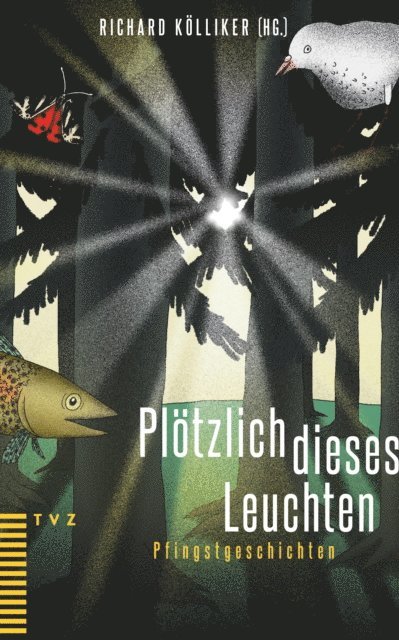 Richard Kolliker - Plötzlich dieses Leuchten, E-bok