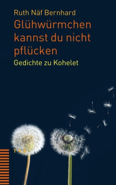 Ruth Naf Bernhard - Glühwürmchen kannst du nicht pflücken, E-bok