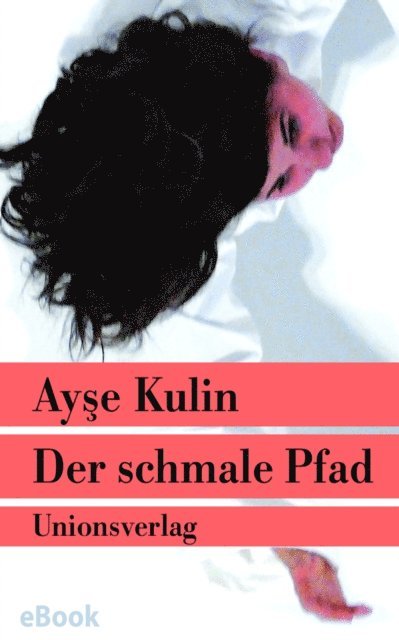 Ayse Kulin - Der schmale Pfad, E-bok