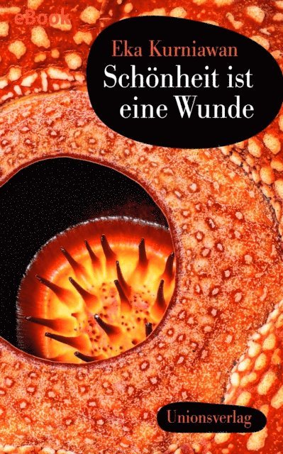 Eka Kurniawan - Schönheit ist eine Wunde, E-bok