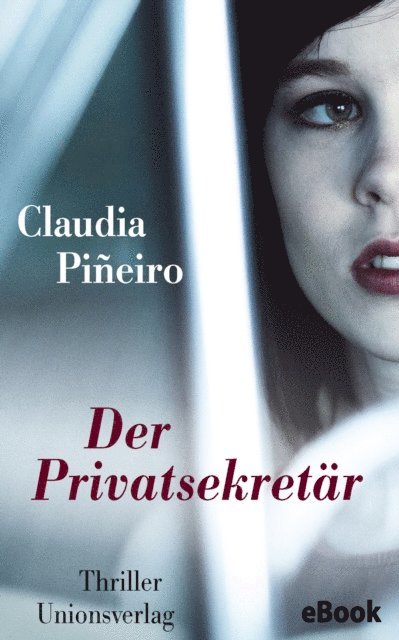 Claudia Pineiro - Der Privatsekretär, E-bok