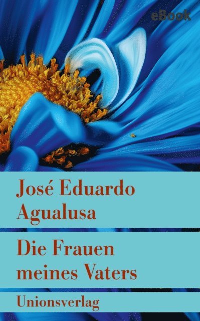 Jose Eduardo Agualusa - Die Frauen meines Vaters, E-bok